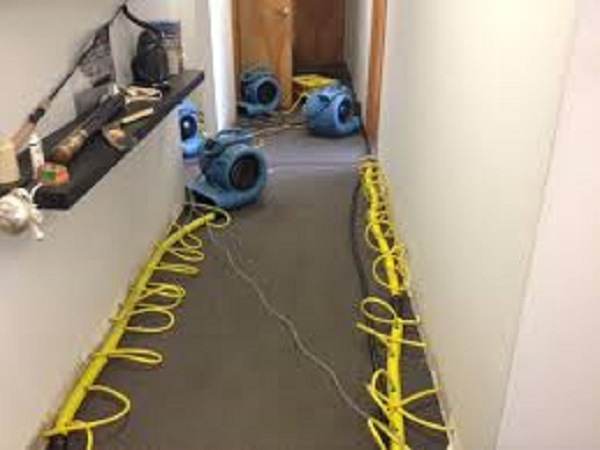 Disaster Cleanup in Brandon, FL Image